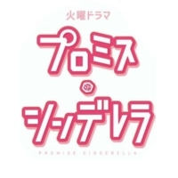TBS火曜ドラマ『プロミス・シンデレラ』感想