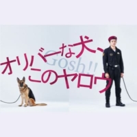 ドラマ10『オリバーな犬、 (Gosh!!) このヤロウ』感想