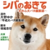 ドラマ10『シバのおきて ～われら犬バカ編集部～』感想投稿ページ