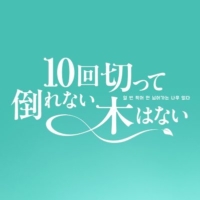 日曜ドラマ『10回切って倒れない木はない』感想投稿ページ