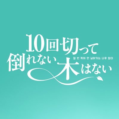 日曜ドラマ『10回切って倒れない木はない』感想投稿ページ