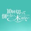 日曜ドラマ『10回切って倒れない木はない』感想投稿ページ